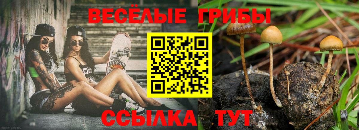 Елабуга  Псилоцибиновые грибы MAGIC MUSHROOMS  Вход с VPN 